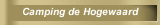 Camping de Hogewaard